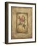 Grand Savin Rose-Kimberly Poloson-Framed Art Print