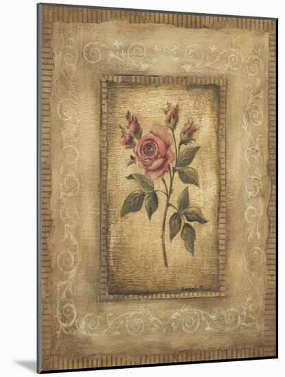 Grand Savin Rose-Kimberly Poloson-Mounted Art Print
