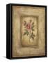 Grand Savin Rose-Kimberly Poloson-Framed Stretched Canvas