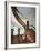 Grand Staircase, Batllo House, Barcelona-null-Framed Photographic Print