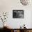 Grand Teton 01-Gordon Semmens-Photographic Print displayed on a wall