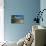 Grand Teton 03-Gordon Semmens-Stretched Canvas displayed on a wall