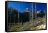 Grand Teton 08-Gordon Semmens-Framed Stretched Canvas