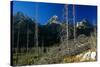 Grand Teton 08-Gordon Semmens-Stretched Canvas