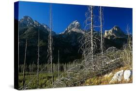 Grand Teton 08-Gordon Semmens-Stretched Canvas