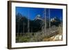 Grand Teton 08-Gordon Semmens-Framed Photographic Print