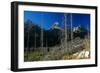 Grand Teton 08-Gordon Semmens-Framed Photographic Print