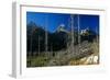 Grand Teton 08-Gordon Semmens-Framed Photographic Print