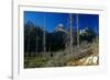 Grand Teton 08-Gordon Semmens-Framed Photographic Print