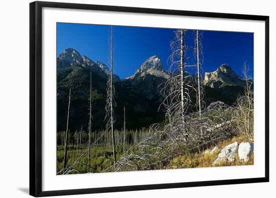 Grand Teton 08-Gordon Semmens-Framed Photographic Print