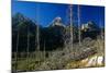 Grand Teton 08-Gordon Semmens-Mounted Photographic Print