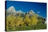 Grand Teton 10-Gordon Semmens-Stretched Canvas