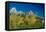 Grand Teton 10-Gordon Semmens-Framed Stretched Canvas