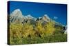 Grand Teton 10-Gordon Semmens-Stretched Canvas