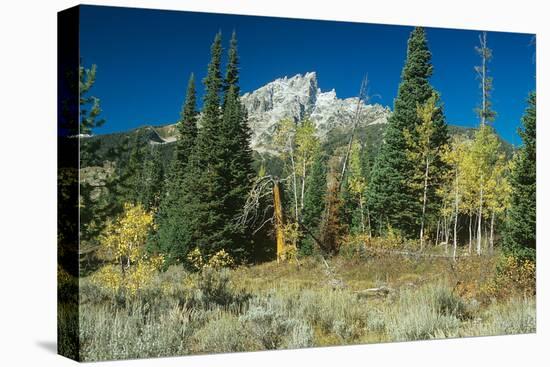 Grand Teton 11-Gordon Semmens-Stretched Canvas