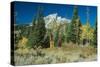 Grand Teton 11-Gordon Semmens-Stretched Canvas
