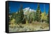 Grand Teton 11-Gordon Semmens-Framed Stretched Canvas