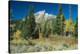 Grand Teton 11-Gordon Semmens-Stretched Canvas