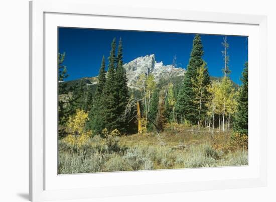 Grand Teton 11-Gordon Semmens-Framed Photographic Print