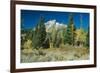 Grand Teton 11-Gordon Semmens-Framed Photographic Print