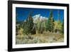 Grand Teton 11-Gordon Semmens-Framed Photographic Print