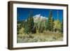 Grand Teton 11-Gordon Semmens-Framed Photographic Print