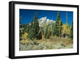 Grand Teton 11-Gordon Semmens-Framed Photographic Print