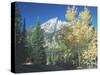 Grand Teton 12-Gordon Semmens-Stretched Canvas