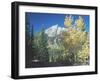 Grand Teton 12-Gordon Semmens-Framed Photographic Print