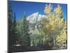 Grand Teton 12-Gordon Semmens-Mounted Photographic Print