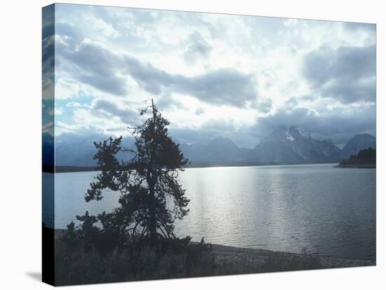 Grand Teton 16-Gordon Semmens-Stretched Canvas