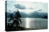 Grand Teton 18-Gordon Semmens-Stretched Canvas