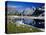 Grand Teton Behind Lake Solitude-James Randklev-Stretched Canvas