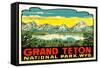 Grand Teton Decal-null-Framed Stretched Canvas