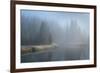 Grand Teton Lake Fog-Alan Majchrowicz-Framed Photographic Print