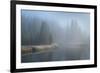 Grand Teton Lake Fog-Alan Majchrowicz-Framed Photographic Print