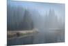 Grand Teton Lake Fog-Alan Majchrowicz-Mounted Photographic Print