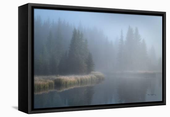 Grand Teton Lake Fog-Alan Majchrowicz-Framed Stretched Canvas