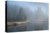 Grand Teton Lake Fog-Alan Majchrowicz-Stretched Canvas