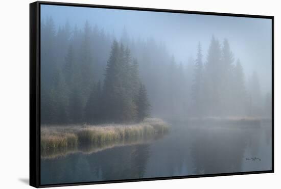 Grand Teton Lake Fog-Alan Majchrowicz-Framed Stretched Canvas