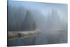 Grand Teton Lake Fog-Alan Majchrowicz-Stretched Canvas