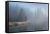 Grand Teton Lake Fog-Alan Majchrowicz-Framed Stretched Canvas