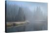 Grand Teton Lake Fog-Alan Majchrowicz-Stretched Canvas