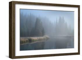 Grand Teton Lake Fog-Alan Majchrowicz-Framed Photographic Print