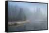 Grand Teton Lake Fog-Alan Majchrowicz-Framed Stretched Canvas