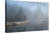 Grand Teton Lake Fog-Alan Majchrowicz-Stretched Canvas