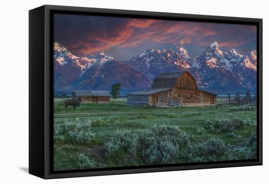 Grand Teton Mormon Barn at Sunrise-Galloimages Online-Framed Stretched Canvas