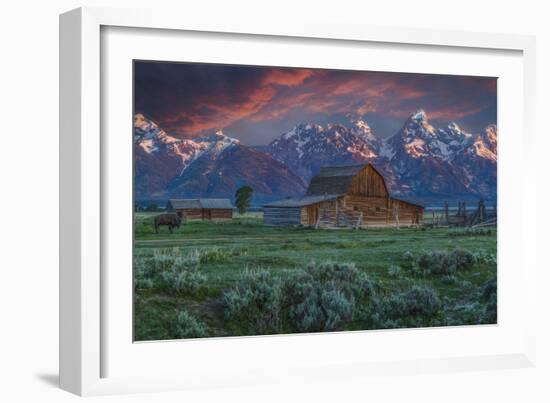 Grand Teton Mormon Barn at Sunrise-Galloimages Online-Framed Photographic Print