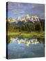 Grand Teton Mountains Reflecting in the Snake River, Grand Teton National Park, Wyoming, USA-Christopher Talbot Frank-Stretched Canvas