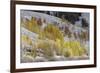 Grand Teton National Park, Autumn Aspen Snow-Ken Archer-Framed Photographic Print